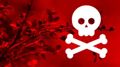 14 Ölümcül Bitki: Tek Yaprağı İnsanı Mezara Gönderebilir!