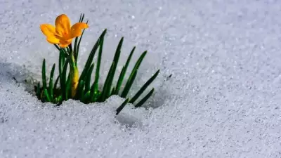 2026 Cemre Düşme Takvimi Açıklandı: İlk Cemre Ne Zaman Düşecek?