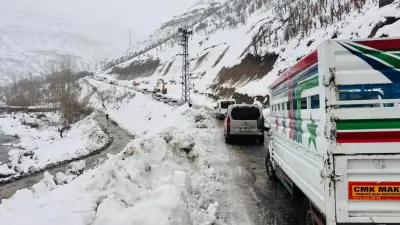Beytüşşebap'ta Buzlanma: İki Araç Çarpıştı, 2 Yaralı
