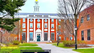 Harvard Araştırması: Kaderinizi Referans Grubunuz Belirliyor