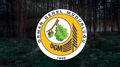 OGM Personel Alımı Sonuçları Açıklandı mı? 496 Kontenjan İçin Bekleyiş Sürüyor