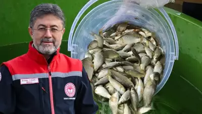 Türkiye'de Balık Üretimi Tarihi Rekor Kırdı: 1 Milyon 20 Bin Ton