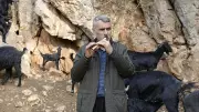 Osmaniye'de 50 Yıldır Kavalıyla Sürüsünü Yöneten Çoban Turgut Göker