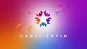 Star TV 31 Aralık Yayın Akışı: Yılbaşı Gecesi Hangi Özel Programlar Var?