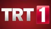 TRT 1 Yılbaşı Akşamı: 31 Aralık 2025 Yayın Akışı ve Lingo Türkiye Özel