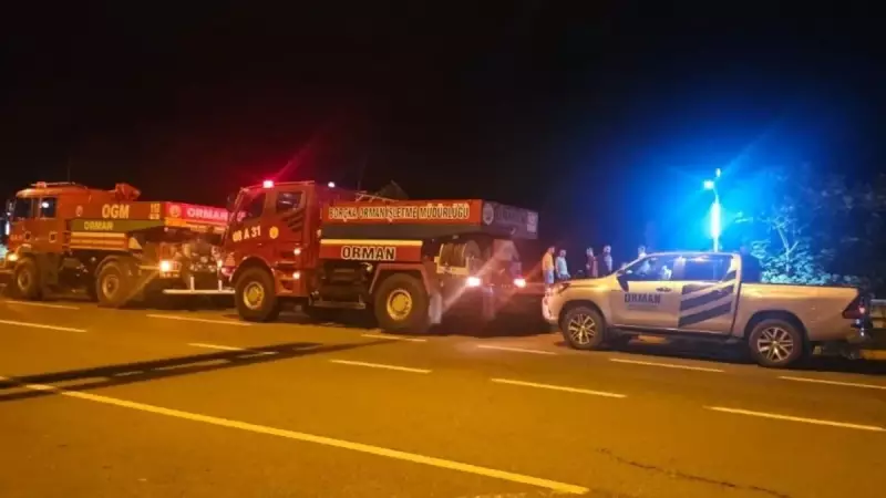 Bursa Orman Yangınlarına Trabzon ve Artvin'den Destek: Mücadele Tüm Hızıyla Sürüyor!