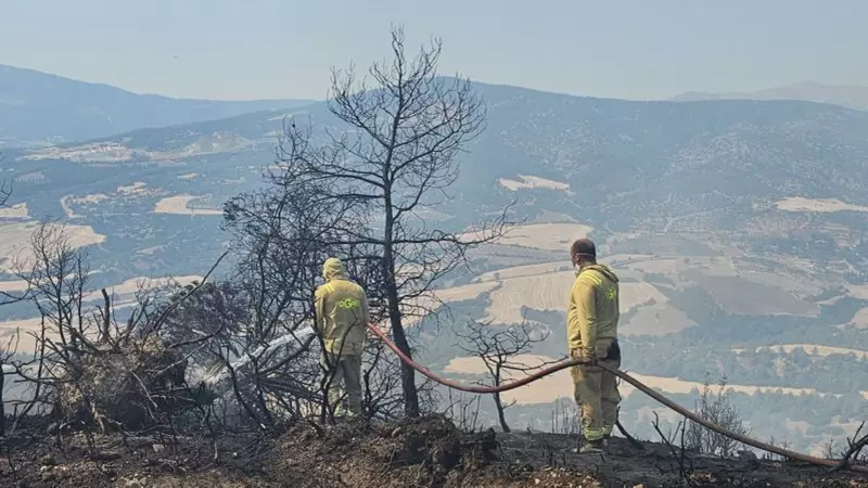 Denizli'de Ormanlık Alanlara Giriş Yasaklandı: İşte Detaylar!