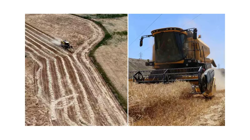 Erzincan'da Bereketli Hasat Dönemi Başladı: Çiftçilerin Yüzündeki Tebessüm Görmeye Değer!