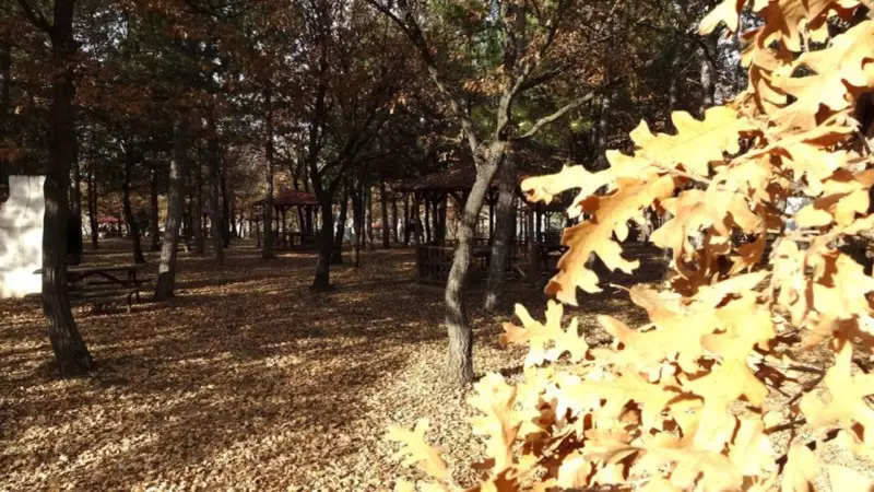 Kütahya'da Piknik Keyfi Ateşe mi Dönüşüyor? Sıkı Tedbirler Başladı!