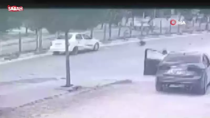 Lübnan Bayrağının Şifreleri: Kırmızı, Beyaz ve Sedir Ağacının Anlamı Ne?
