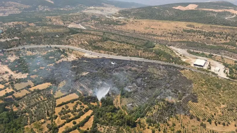 Muğla'daki Orman Yangını Kontrol Altına Alındı: İşte Son Durum!