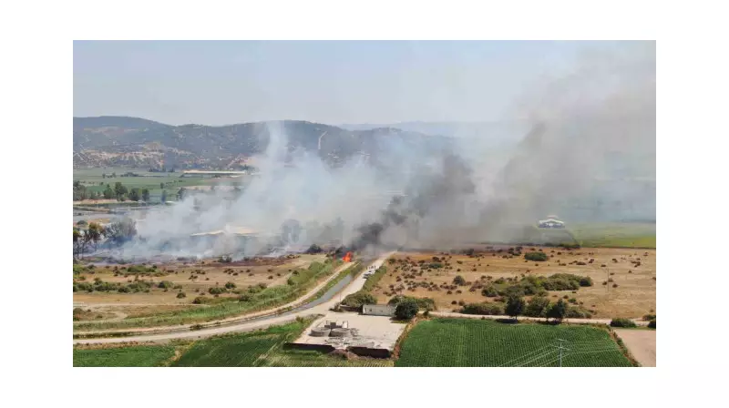 Rüzgarın Alevleriyle Dans Eden Yangın, Hayvan Çiftliğini Tehdit Etti!