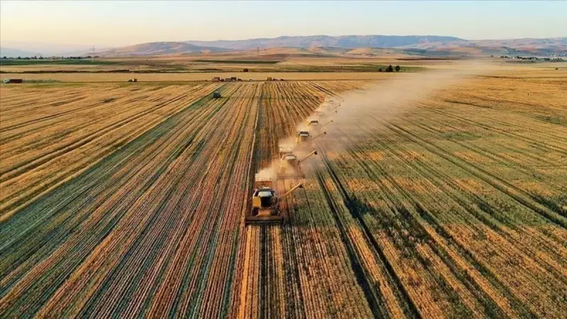Tarımsal Girdi Fiyatlarındaki Son Durum: Çiftçinin Yüzünü Güldürecek Gelişme!