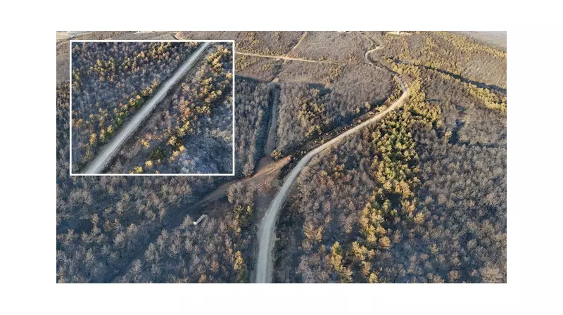 Tekirdağ Şarköy'deki Orman Yangını Kontrol Altına Alındı: İşte Son Durum!