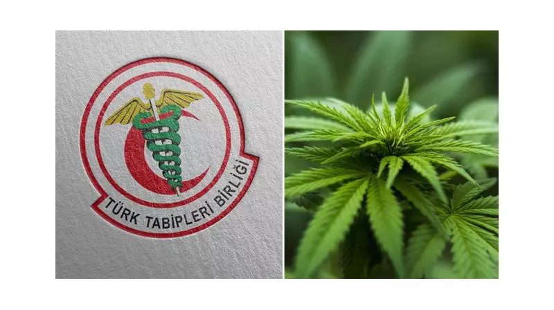 TTB'den Çarpıcı Uyarı: Kenevir Yasası Gözden Geçirilsin!