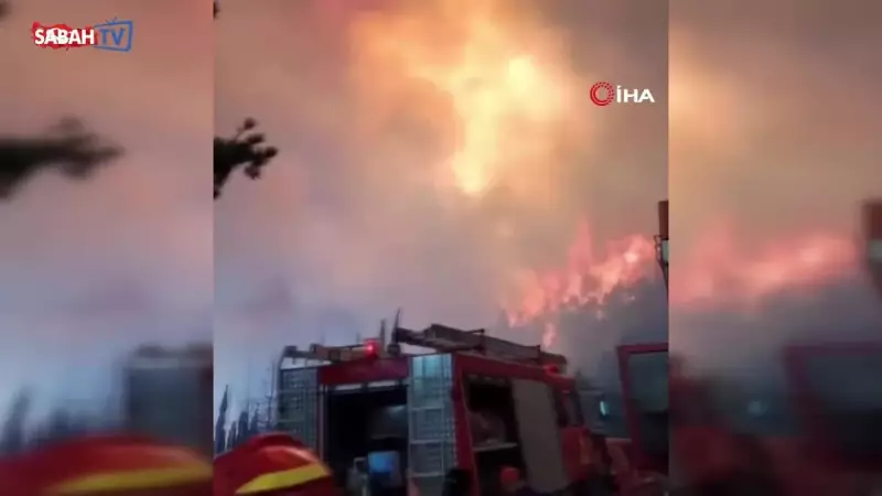 Yunanistan'da Alevler Can Aldı: Çok Sayıda Orman Yangını Felaketi!