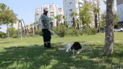 Üç Bacaklı Köpeğin ve Temizlik İşçisinin Dostluğu Sosyal Medyayı Salladı!