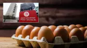 Yumurta İhracatında Dev Adım: Fon Kesintisi Tarihe Karıştı!