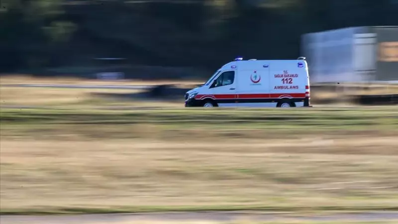 Acı Dolu Bir Kaza: Fındık Toplarken Uçuruma Yuvarlandılar! Anne Hayatını Kaybetti, Oğlu Yaralandı