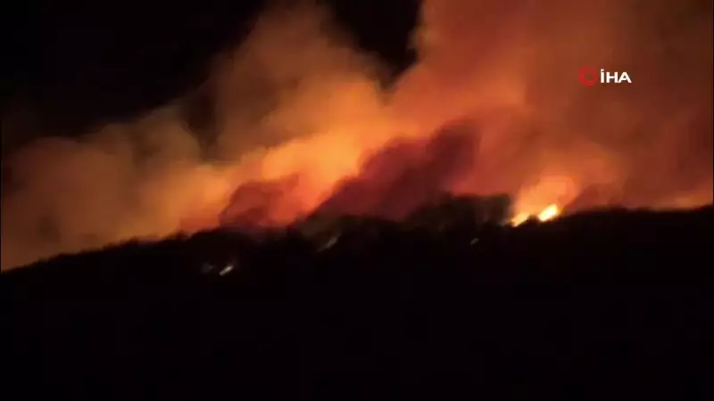 Çanakkale'de Gece Vakti Çıkan Orman Yangını Korku Dolu Anlar Yaşattı!