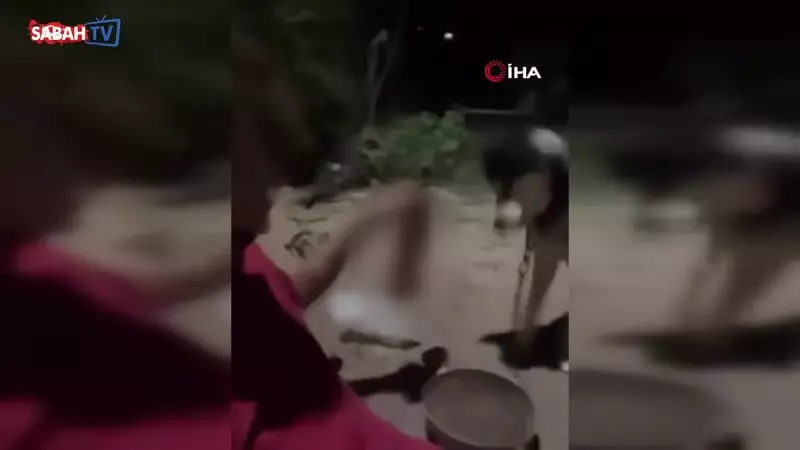 Ankara'da Akıl Almaz Olay! Köpeğine Alkollü İçki İçirdi ve Sosyal Medyada Paylaştı