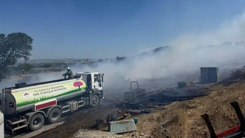 Çatalca ve Bolu'da Alevlerle Dans: Orman Yangınları Kontrol Altına Alındı!