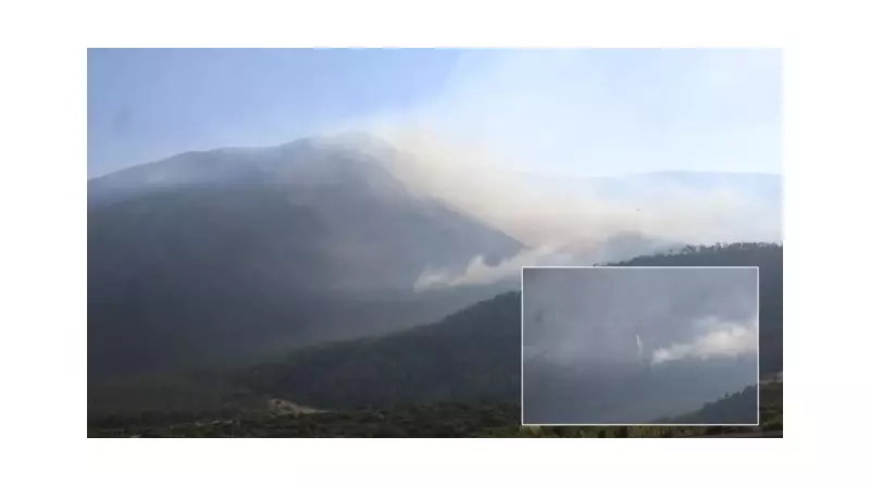 Denizli Pamukkale'deki Orman Yangını Son Dakika: Alevler Kontrol Altında!