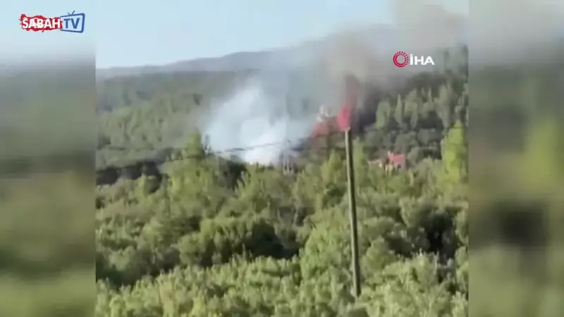 Denizli'de Ormanı Ateşe Veren Kundakçıların Akılalmaz Tuzağı! İşte O Anlar