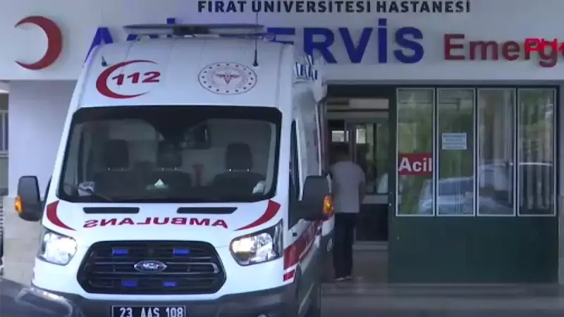 Elazığ'da Yürekleri Sızlatan Olay: Suya Götürdüğü Eşek, 7 Yaşındaki Meryem'i Canından Etti!