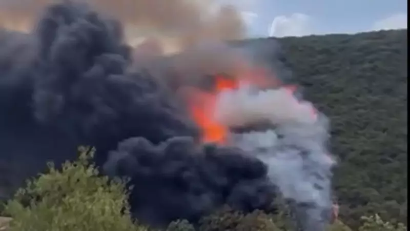 Kocaeli Kuruçeşme'deki Yangın: Ormanlık Alanda Alevlerle Mücadele Sürüyor!