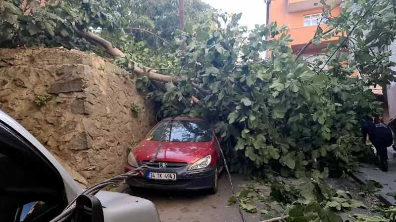 İstanbul'u Vuran Fırtına: Ağaçlar Devrildi, Direkler Yıkıldı!