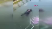 Adana'da Sulama Kanalında Erkek Cesedi Bulundu: Şok Edici Detaylar!