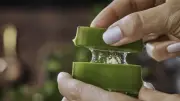 Aloe Vera'nın Karanlık Yüzü: Sarı Sıvı Zehir Mi? İşte Anlamanın Püf Noktaları!