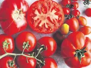 Domatesin Sırrı: Kırmızı Çekirdeklerin Şaşırtıcı Faydaları!