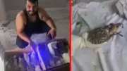 Kuş Çetesine Operasyon! Gerçek Ortaya Çıktı: Dinlendirmek İçin Bırakmışlar