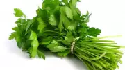 Maydanozun Tazeliğini Korumanın Sırları: Sararmadan Nasıl Saklanır?