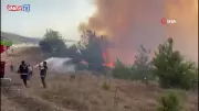 Orman İşçilerinin Ters Alevle Mücadelesi: Nefes Kesen Anlar!