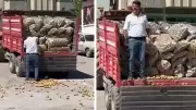 Yozgat'ta Patates İsrafına Göz Açtırmadılar: İnceleme Başlatıldı, Ağır Ceza Kesilecek!