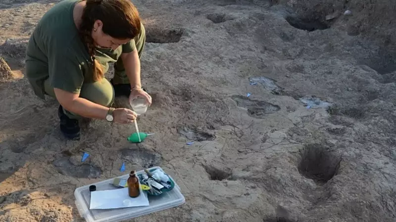 7 Bin Yıllık Tarih Göz Kırpıyor: Karahantepe'deki Keşifler Dünyayı Şaşkına Çeviriyor!