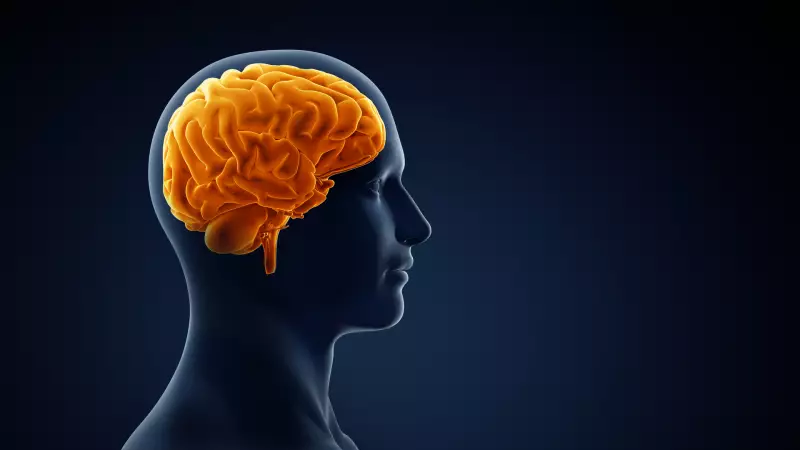Alzheimer'ın İlk İşaretleri Günlük Hayatta Saklı: İşte O Kritik Değişiklikler