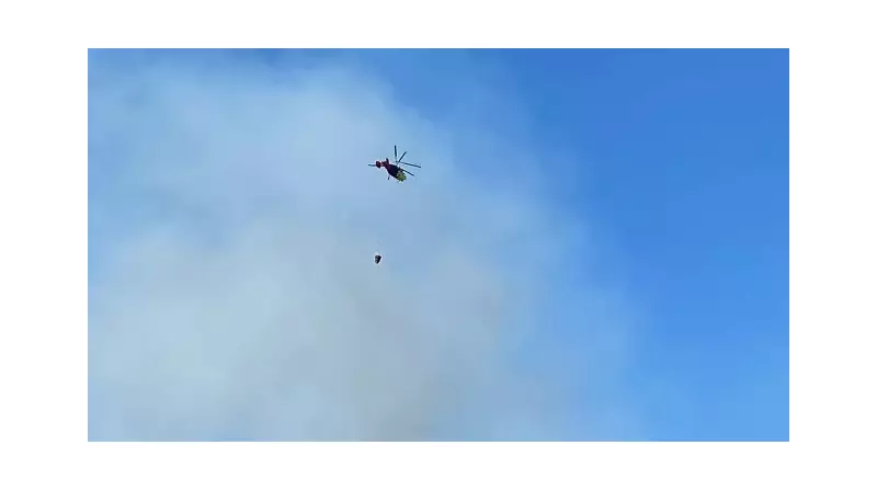 Antalya'da Ciğerleri Yakan Orman Yangını! Çok Sayıda Ekip Sevk Edildi