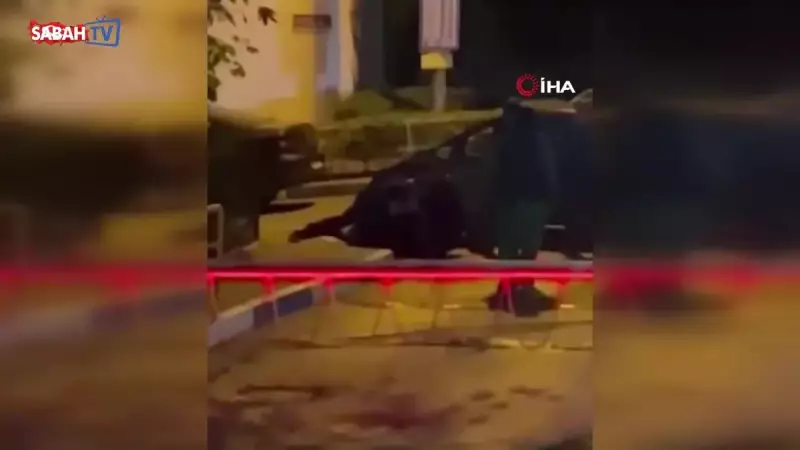 Başakşehir'de Alkollü Sürücü Polis Ekibine Adeta Kök Söktürdü! İnanılmaz Anlar Kamerada