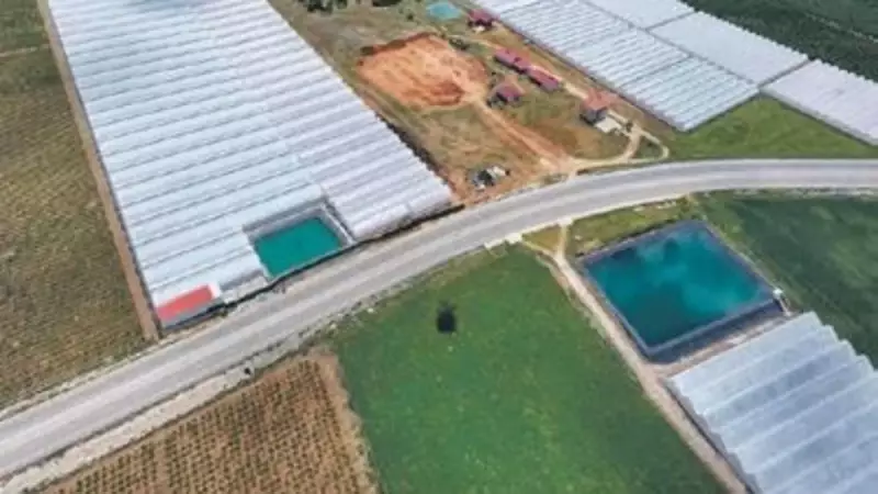 Brüt Satışlar 5 Yılda 9 Kat Fırladı: İşte Türkiye'nin Yükselen Ekonomik Gücü