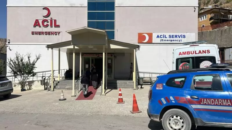 Ceviz Toplarken Yaşanan Feci Kaza: Ağaçtan Düşerek Hayatını Kaybetti!