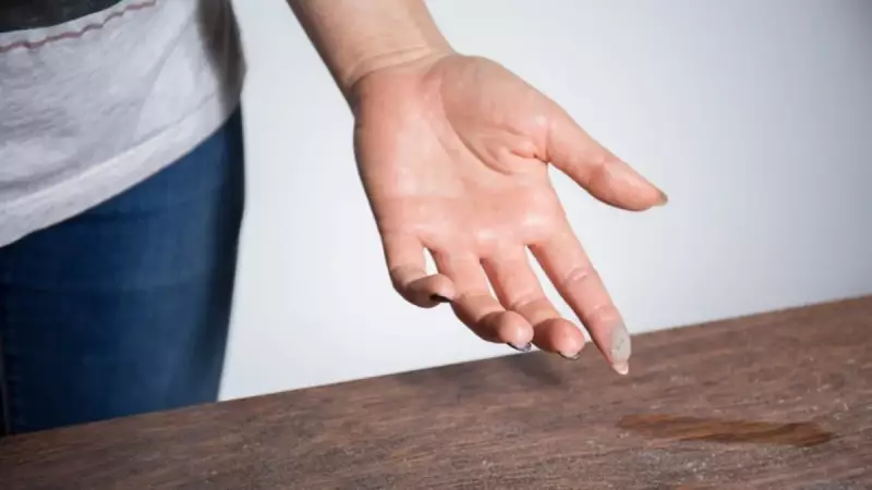 Evdeki Toz Problemini Tek Malzemeyle Kökünden Çözün: Bu Yöntemle Toz Tarih Oluyor!
