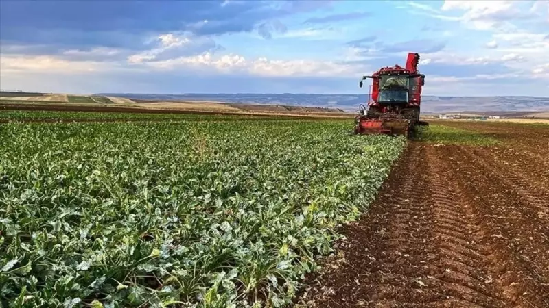 Çiftçilere Müjde! 2.748 Milyon TL Destek Ödemeleri Bugün Hesaplarda