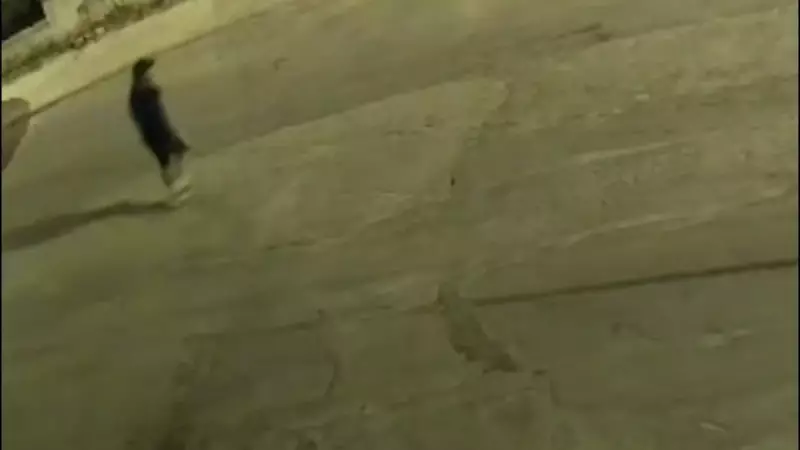 Kırmızı Bültenle Aranan Molotof Saldırganı: İstanbul'da Polise Büyük Operasyon!