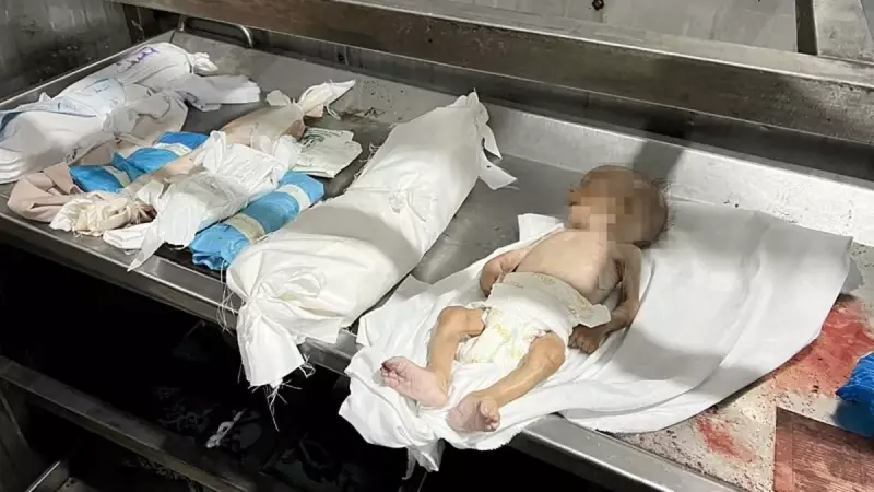 Ölümden Ölüme Koşuyoruz: İnsanlığın Bitmeyen Çilesi