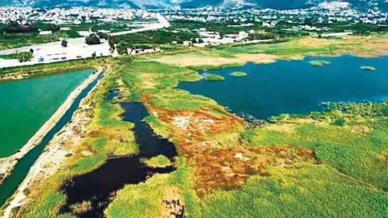 Milleyha Sulak Alanı Nihayet Doğal Sit Alanı İlan Edildi: Kuş Cenneti Artık Koruma Altında!