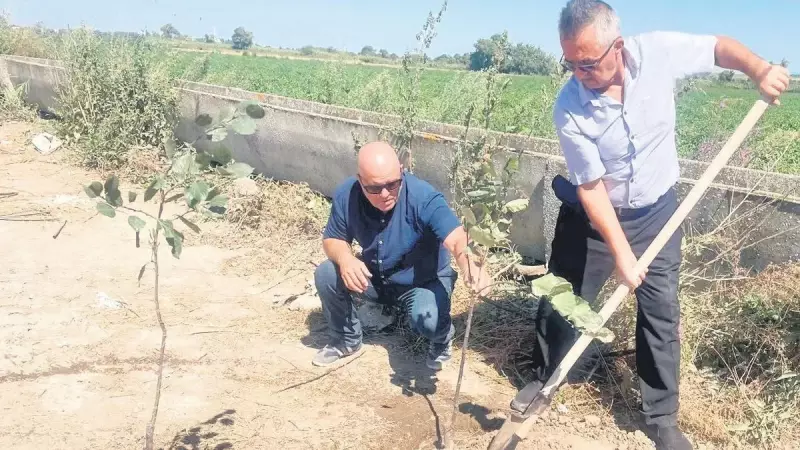 Muhteşem Bir Doğa Seferberliği: Yanan Her Ağaç İçin 10 Yeni Fidan Toprağa Kavuşuyor!